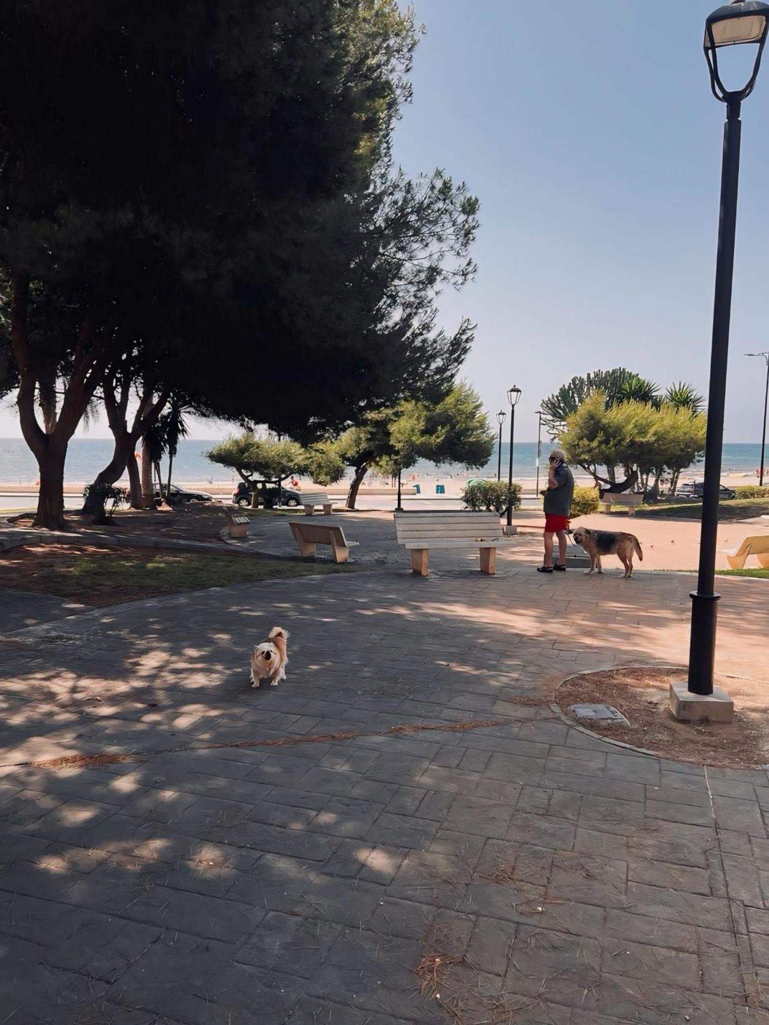 50 Pasos Hacia El Mar * El Campello